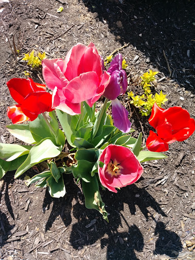 Fabric Store «Jo-Ann Fabrics and Crafts», reviews and photos, 206 S Promenade Blvd, Rogers, AR 72758, USA