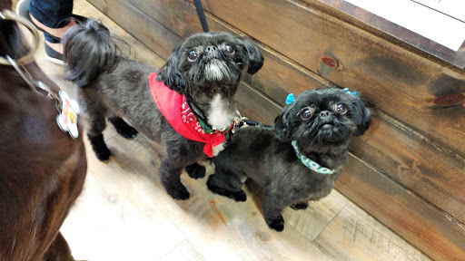 Pet Store «Earthwise Pet - Southlake», reviews and photos, 100 W Southlake Blvd #150, Southlake, TX 76092, USA