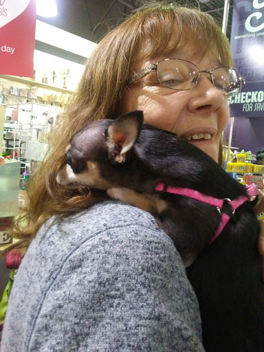 Discount Store «Gordmans», reviews and photos, 8264 Tamarack Village, Woodbury, MN 55125, USA