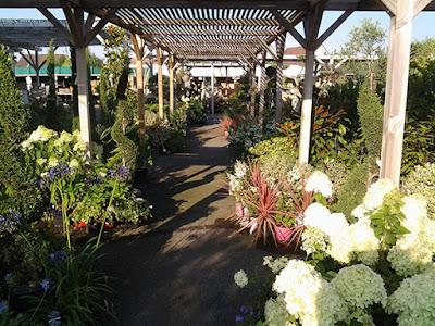 Jardinerie Les jardins de Beaune - J'DEA à Beaune-la-Rolande