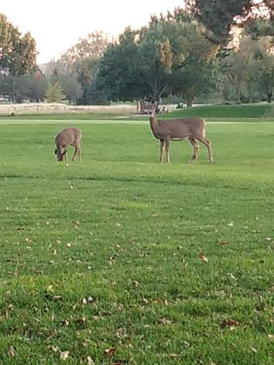 Golf Course «Fox Run Golf Course», reviews and photos, 3001 Macineery Dr, Council Bluffs, IA 51501, USA