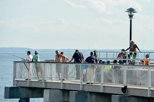 Pat Auletta Steeplechase Pier image