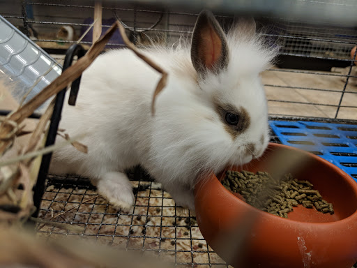 Pet Supply Store «Living Things», reviews and photos, 3437 PA-309, Orefield, PA 18069, USA