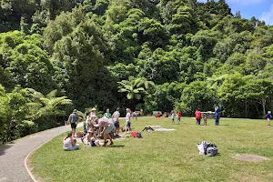 Troup Picnic Lawn, Otari-Wilton's Bush Reserve image