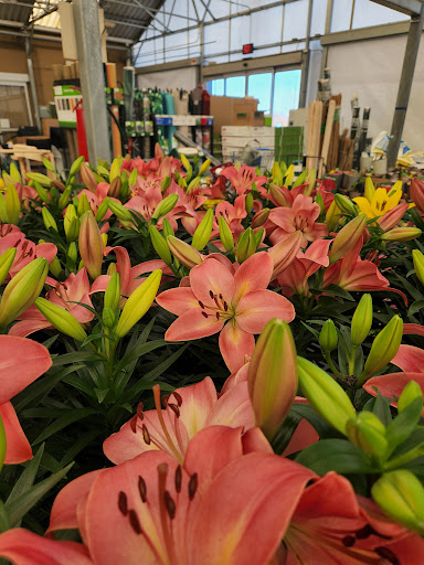 Discount Store «Walmart», reviews and photos, 80 Town Line Rd, Rocky Hill, CT 06067, USA