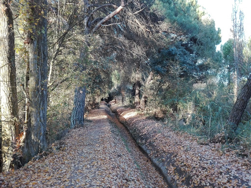 PERTITEC / Limpieza de cristales en Laguna de Duero, Valladolid