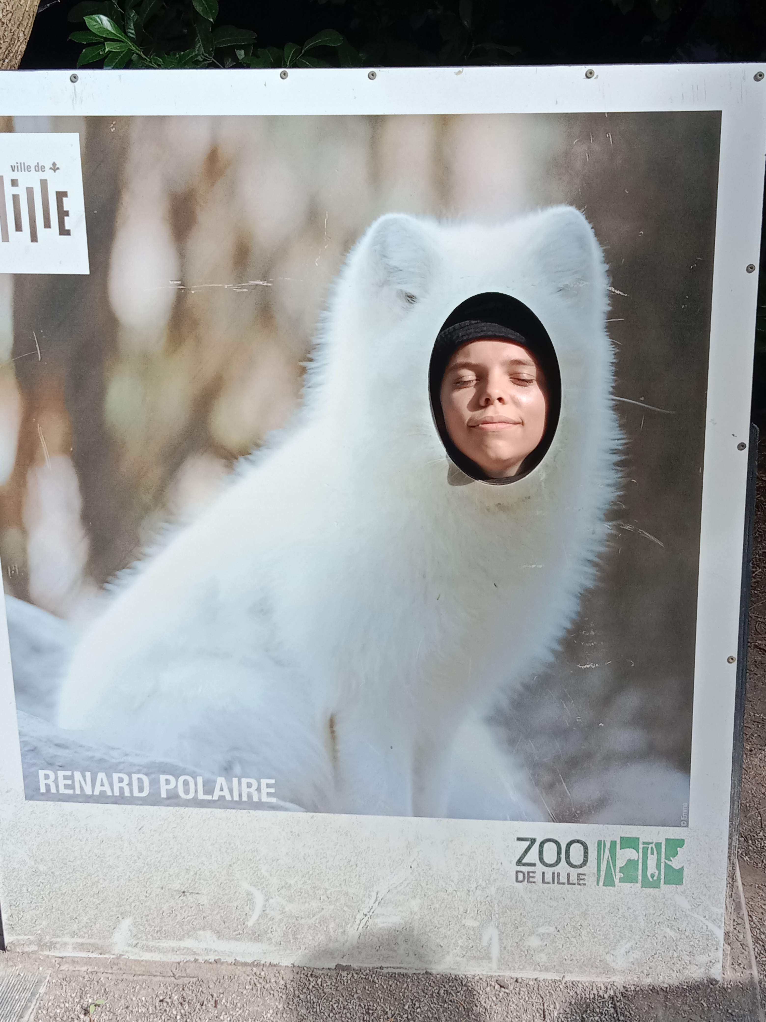 Photo n° 3 de l'avis de Sandrine.e fait le 10/08/2023 à 17:28