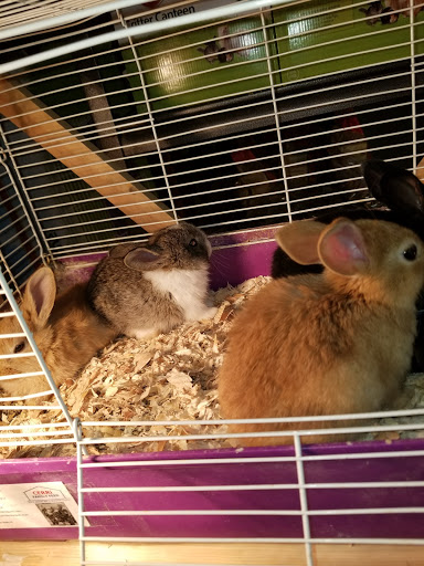 Animal Feed Store «Cerri Family Feed», reviews and photos, 2949 S Airport Way, Stockton, CA 95206, USA