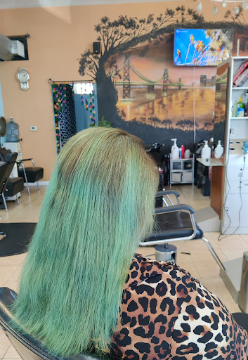 Beauty Salon «Angel Hair & Beauty Salon», reviews and photos, Stevens Creek Blvd, Santa Clara, CA 95051, USA