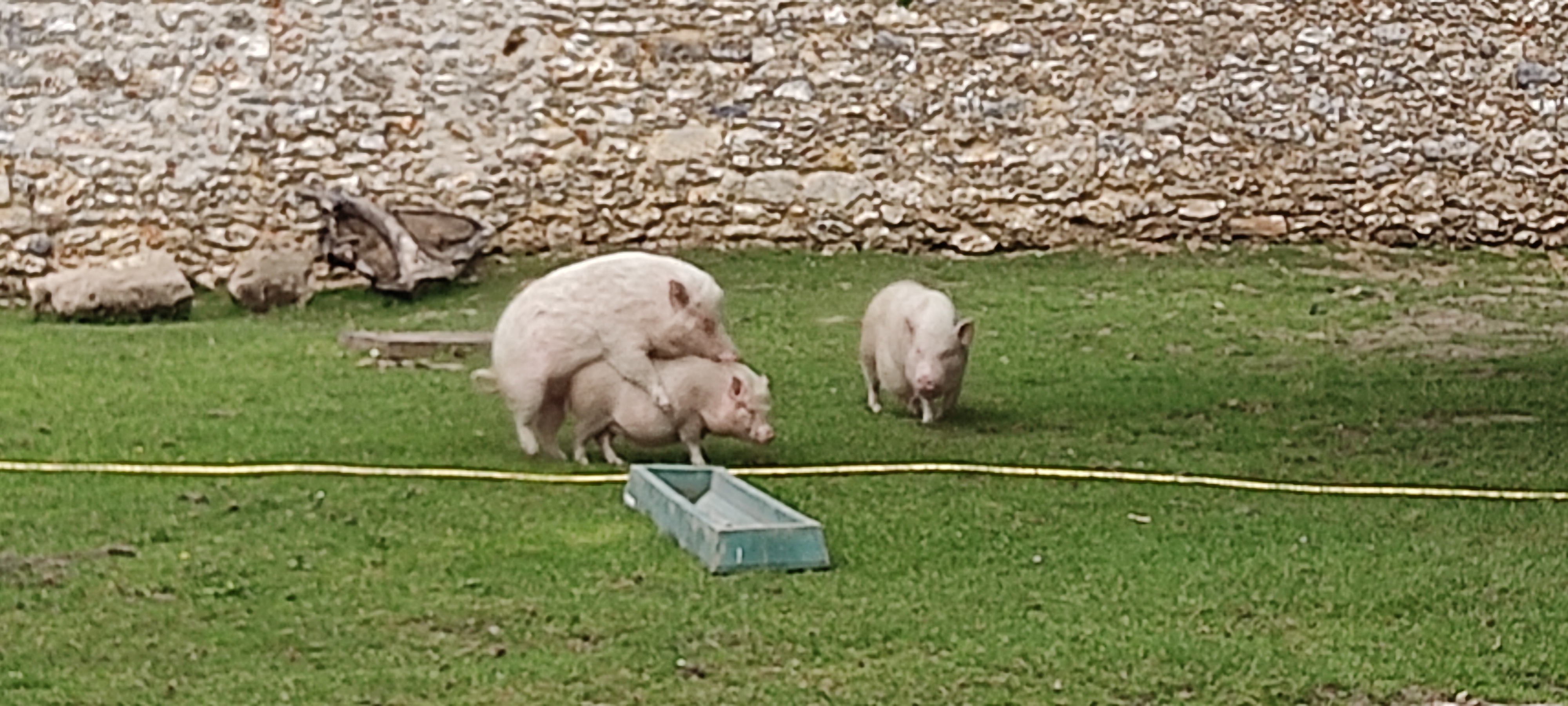 Photo n° 7 de l'avis de Thomas.O fait le 26/05/2022 à 14:48