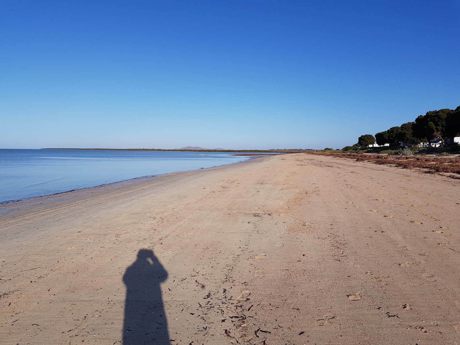 Whyalla Beach photo #8