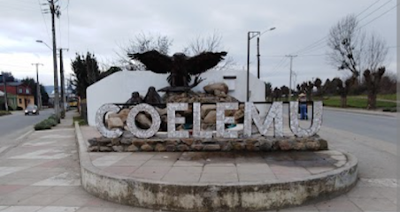 Feria De Coelemu