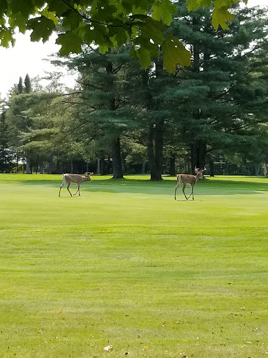 Golf Club «Thendara Golf Club», reviews and photos, 151 Fifth Street, Thendara, NY 13472, USA