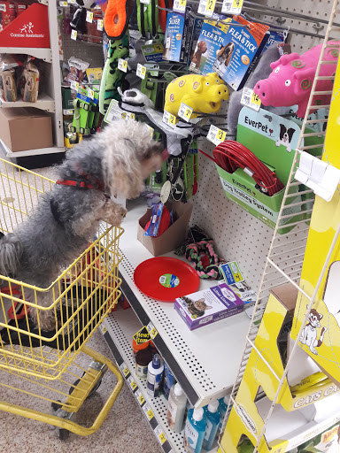 Discount Store «Dollar General», reviews and photos, 1620 E Hallandale Beach Blvd, Hallandale Beach, FL 33009, USA