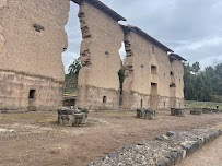 Big City Trip by Travel Leaders for Air, Cruise, Shuttle Service and Land Vacations - Photo 4 - Car repair in Houston, TX, Houston