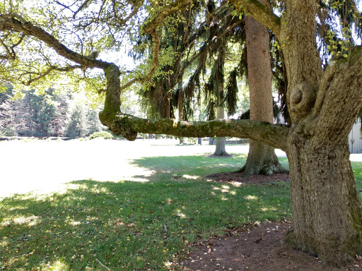 Museum «Dorflinger Glass Museum», reviews and photos, 37 Suydam Dr, White Mills, PA 18473, USA