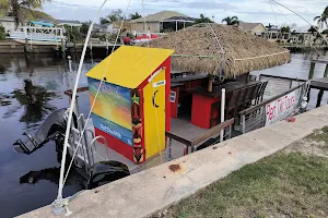 Red Tiki Tours image