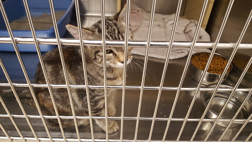 Pet Supply Store «PetSmart», reviews and photos, 10600 Melody Dr, Northglenn, CO 80234, USA