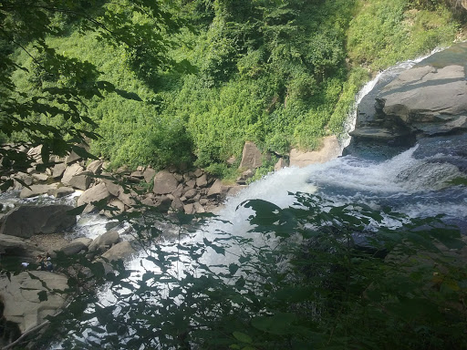 Tourist Attraction «Brandywine Gorge Trail», reviews and photos, 8176 Brandywine Rd, Sagamore Hills, OH 44067, USA