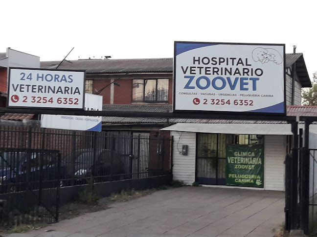 Opiniones de Hospital Veterinario Zoovet en Pudahuel - Veterinario