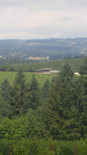 Winery «Raptor Ridge Winery», reviews and photos, 18700 SW Hillsboro Hwy, Newberg, OR 97132, USA