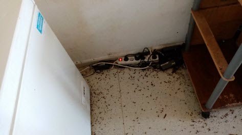 Photo n° 1 de l'avis de Punaiz.e fait le 07/10/2022 à 12:29