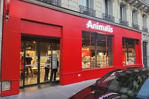 Animalis Paris 11 - Richard Lenoir image