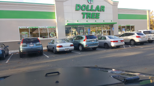 Dollar Store «Dollar Tree», reviews and photos, 383 Allen St, Springfield, MA 01118, USA