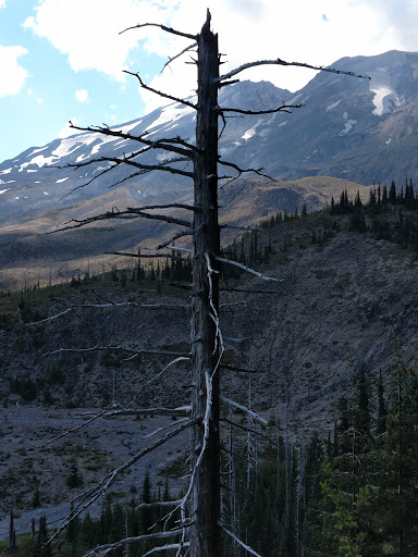 Monument «Mount St. Helens National Volcanic Monument Headquarters», reviews and photos, 42218 NE Yale Bridge Rd, Amboy, WA 98601, USA