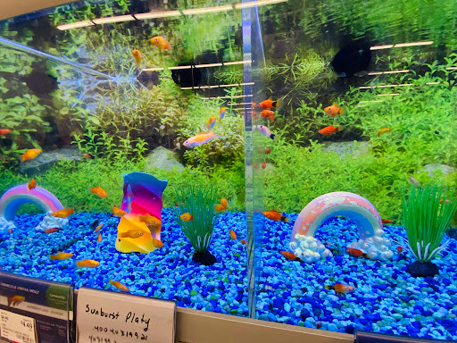 Pet Supply Store «PetSmart», reviews and photos, 310 NJ-36, West Long Branch, NJ 07764, USA