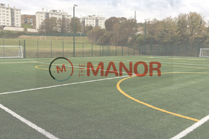 The Manor Sports and Activities Centre image