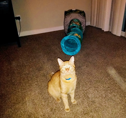 Pet Supply Store «Pet Supermarket», reviews and photos, 608 Montgomery Hwy, Vestavia Hills, AL 35216, USA