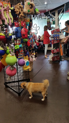 Pet Store «Island Dog», reviews and photos, 410 Mallery St, Saint Simons Island, GA 31522, USA