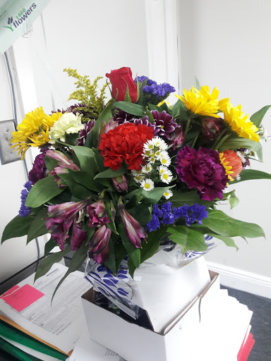 Roofing Contractor «Crown Roofing LLC (Pompano/West Palm Beach)», reviews and photos, 1621 Blount Rd, Pompano Beach, FL 33069, USA