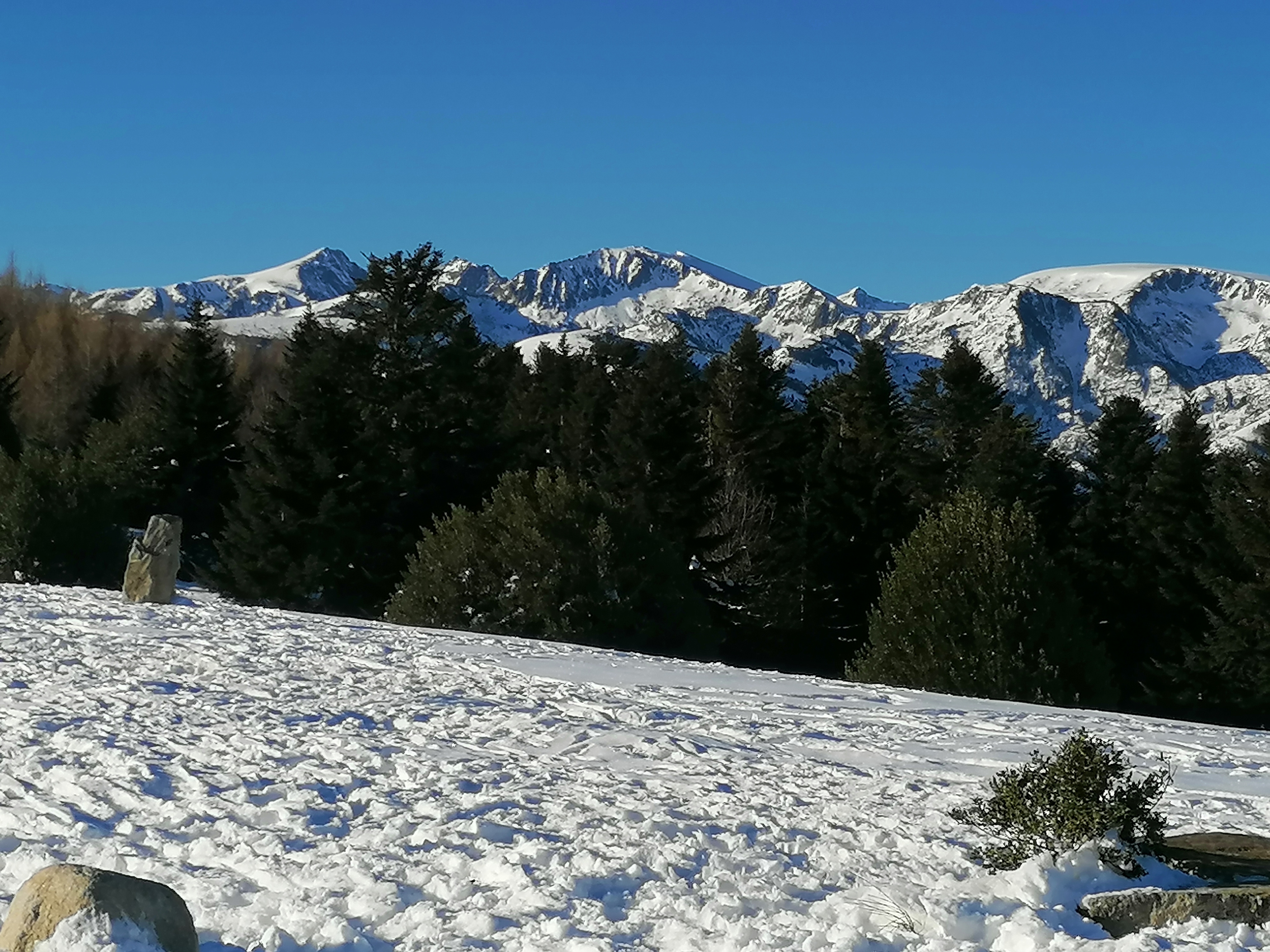 Photo n° 11 de l'avis de Thierry. fait le 05/02/2023 à 19:19