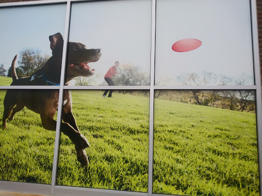 Pet Supply Store «Petco Animal Supplies», reviews and photos, 2250 Petrie Ln #518, Lanham, MD 20706, USA