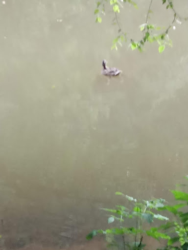 Tourist Attraction «Vickery Creek Falls Roswell Mill», reviews and photos, 95 Mill St, Roswell, GA 30075, USA