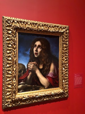 Davis Museum - photo 17
