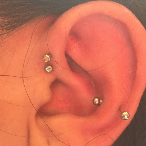 Explore forearm tree tattoo ideas, creative tattoo ideas in San Diego, available at Body Art Salon