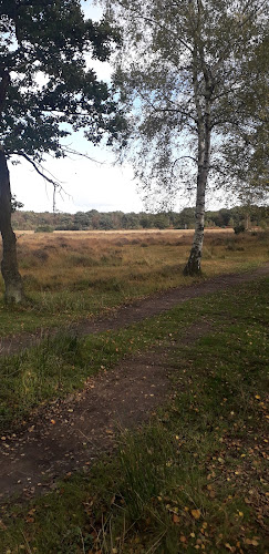 Comments and reviews of Skipwith Common Parking