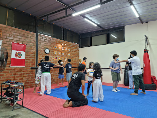 Taekwondo lessons Piura