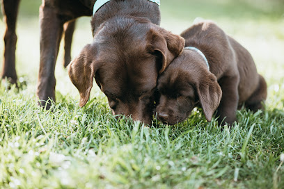 AZ Country Labs