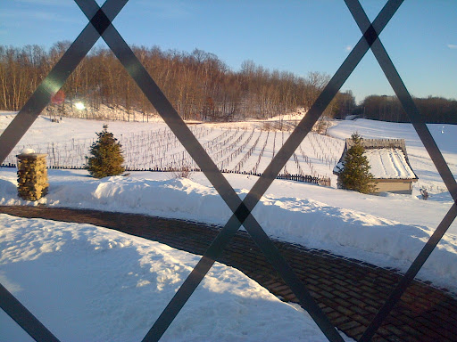 Winery «Cottage Winery and Vineyard», reviews and photos, N7391 County Road F, Menomonie, WI 54751, USA