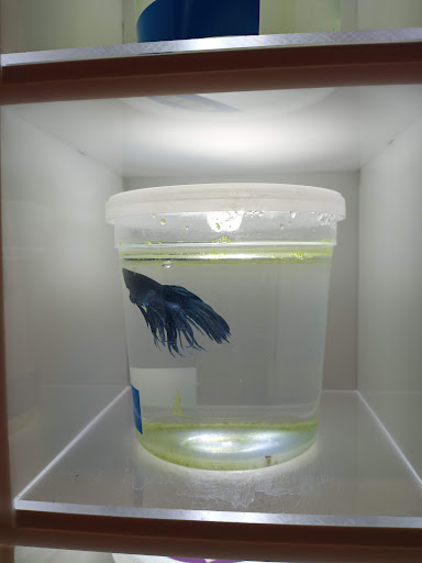 Pet Store «PetSmart», reviews and photos, 850 Folly Rd, Charleston, SC 29412, USA