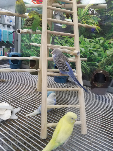 Petco image