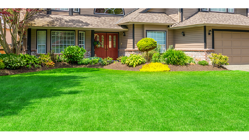 RealGreen Lawn & Shrub Care