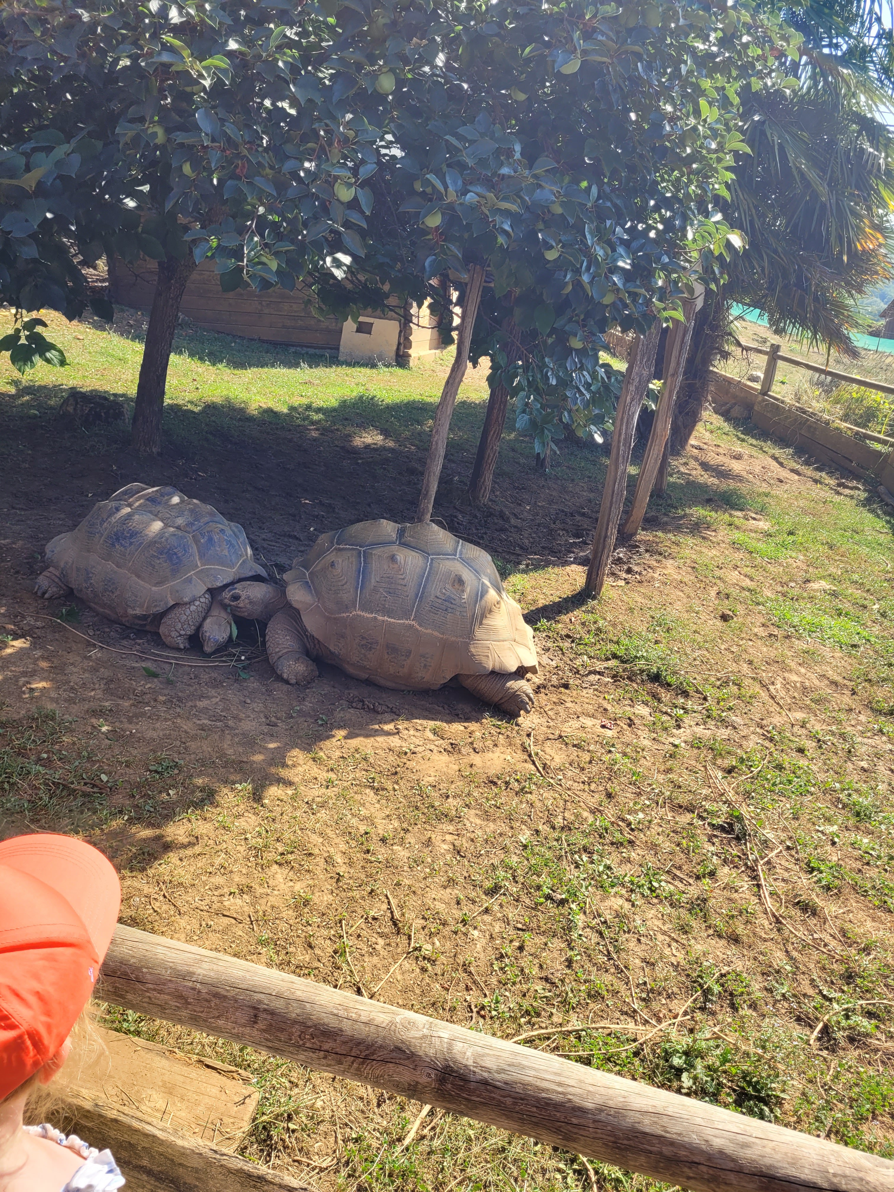 Photo n° 1 de l'avis de nathalie.a fait le 09/09/2023 à 21:49