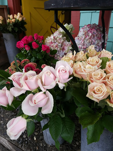 Florist «The Flower Shack», reviews and photos, 614 S Branciforte Ave, Santa Cruz, CA 95062, USA