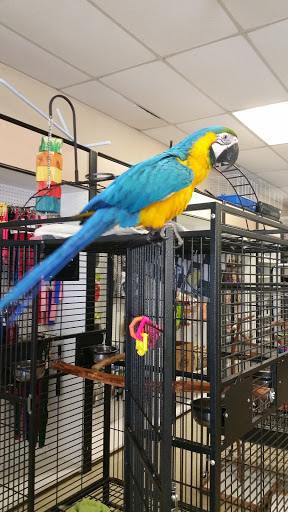 Pet Store «Species Pet Supply», reviews and photos, 1935 W Brandon Blvd, Brandon, FL 33511, USA