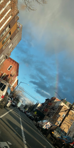 Pet Supply Store «Pet NV», reviews and photos, 71 Central Ave, Brooklyn, NY 11206, USA